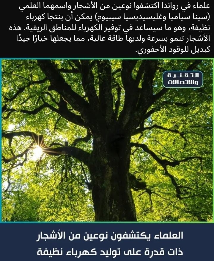 كهرباء الاشجار.jpg