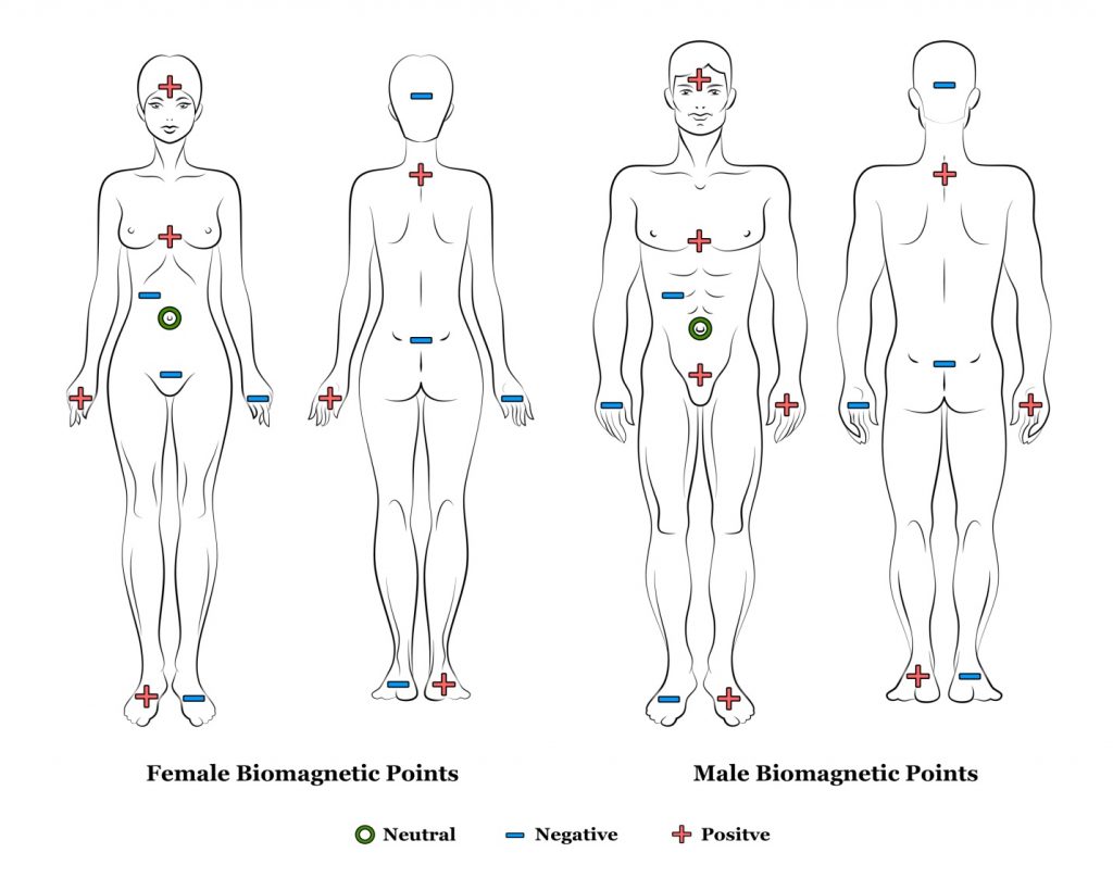 Biomagnetic-1024x819.jpg