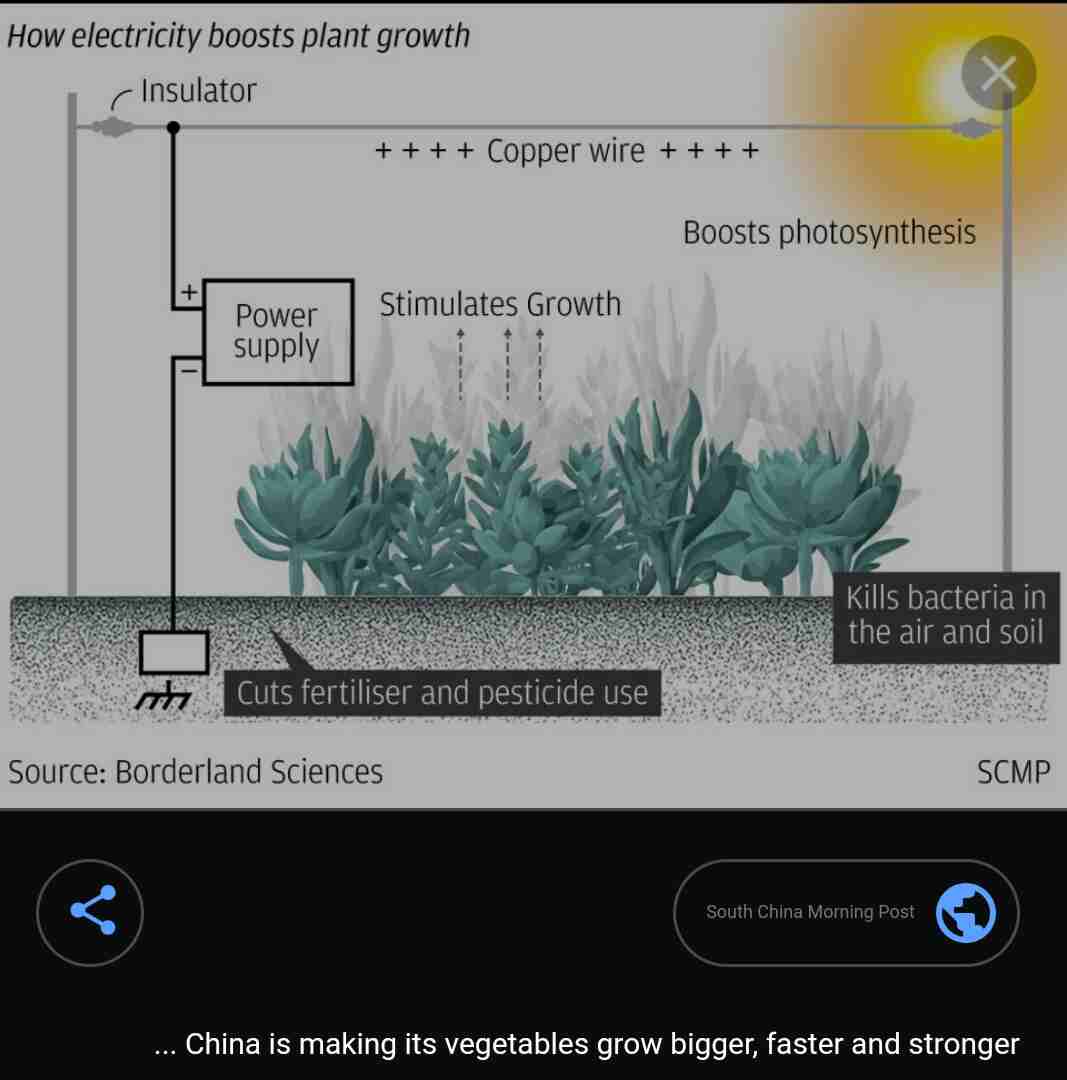 china electric plant.jpg