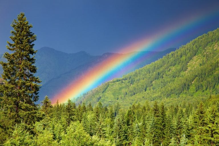 colored-rainbow-over-forest-mountains-768x512.jpeg