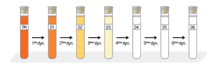 dilution_homeophyto_12.jpg