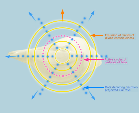 energy-of-shankha.jpg