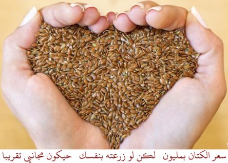 flaxseed free.jpg