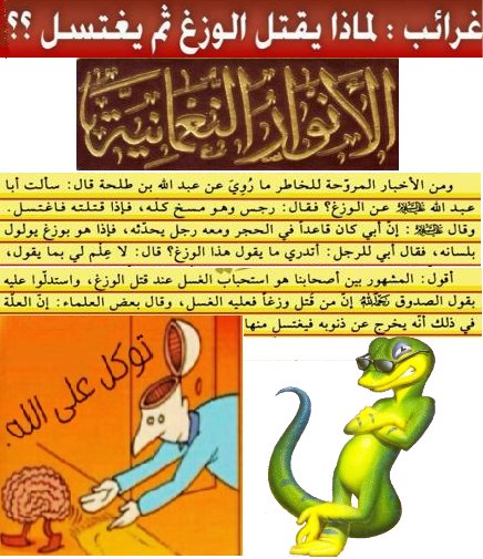 islam GEKO.jpg