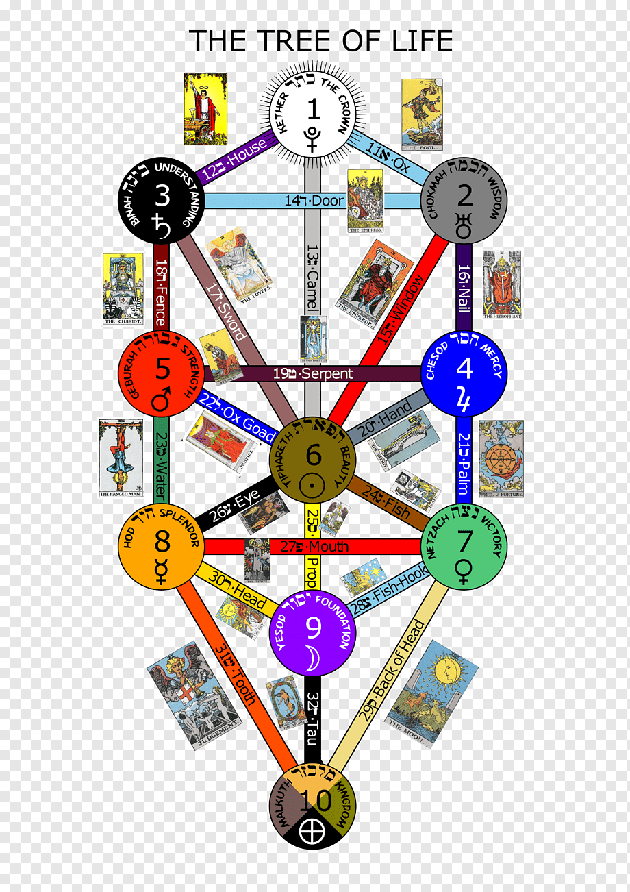 png-transparent-the-book-of-thoth-tarot-tree-of-life-sefirot-major-arcana-tree-of-life-tree-of...png