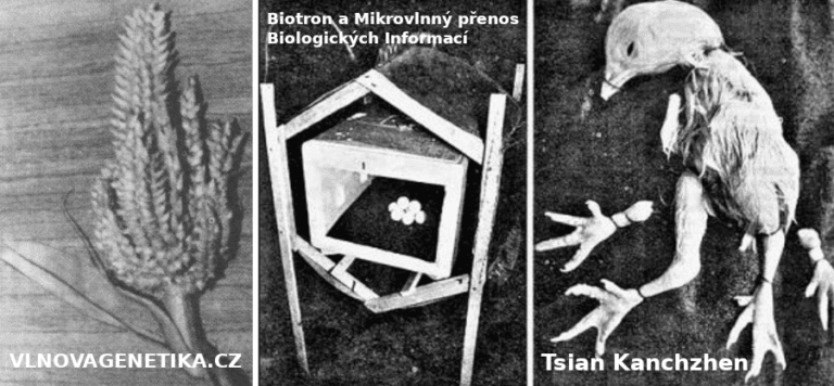 vlnovagenetika.cz-Tsian-Kanchzhen-Biotron-pracuje-s-mikrovlnnymi-frekvencemi-768x356-4070798873.png